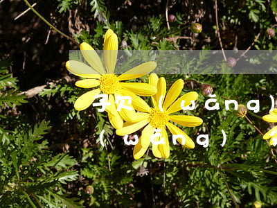 兒子欠網(wǎng)貸父母還不起(兒子欠網(wǎng)貸父母還不起)