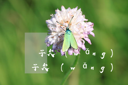兒子欠網(wǎng)貸跑了 卻找父母要(兒子欠網(wǎng)貸跑了 卻找父母要)
