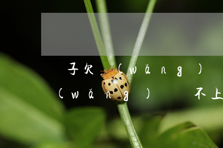 兒子欠網(wǎng)貸還不上父母(兒子網(wǎng)貸還不上父母怎么辦)