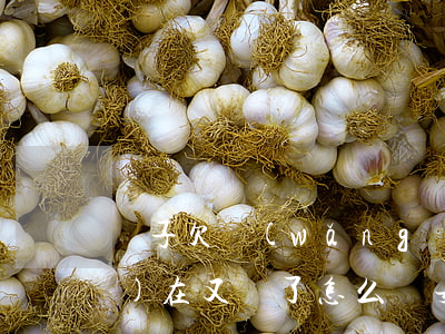 兒子欠網(wǎng)貸還了現(xiàn)在又來了怎么辦(女兒欠了網(wǎng)貸還不起)