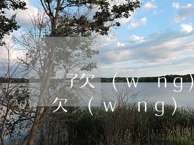 兒子欠網(wǎng)貸離家了怎么辦(兒子欠網(wǎng)貸失聯(lián)怎么辦)