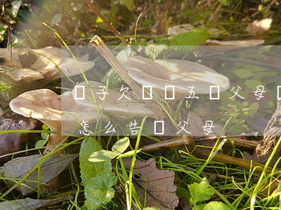 兒子欠網貸五萬父母該怎么辦(網貸欠了6萬怎么告訴父母)