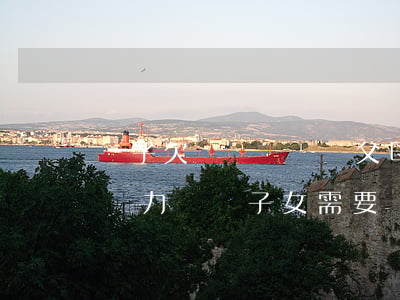 兒子欠網貸沒錢還父母怎么辦(父母欠的網貸無力償還 子女需要還嗎)