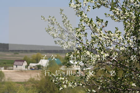 兒子欠銀行信用卡父親必須償還嗎-兒子欠銀行信用卡父親必須償還嗎怎么辦