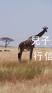 兒子欠銀行信用卡還不上怎么辦-兒子欠銀行信用卡還不上怎么辦呢