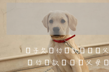 兒子欠銀行貸款會凍結父母資產嗎-兒子欠銀行貸款會凍結父母資產嗎知乎