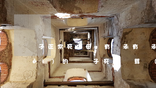兒子正常死亡母親有繼承有繼承安葬費(fèi)的嗎(兒子死后喪葬費(fèi)父母能繼承嗎)