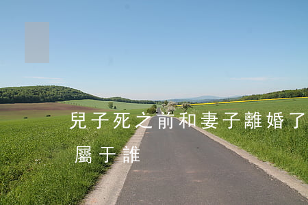 兒子死之前和妻子離婚了(離婚前夫死了小孩屬于誰)