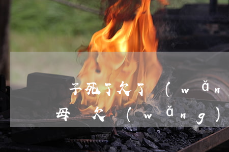 兒子死了欠了網(wǎng)貸父母要還嗎(母親欠網(wǎng)貸錢死亡了兒子需要還嗎)