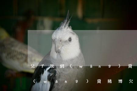 兒子玩網(wǎng)貸欠了幾十萬 兒子網(wǎng)貸賭博欠13萬怎么辦