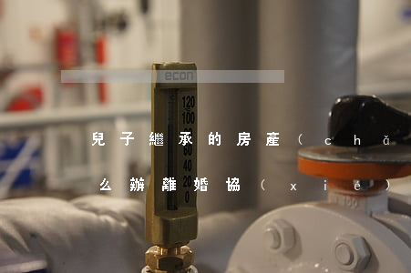 兒子繼承的房產(chǎn)離婚后被賣怎么辦(離婚協(xié)議房子孩子繼承能賣嗎)