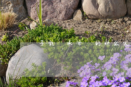 兒子能繼承母親的什么(父母子女繼承)