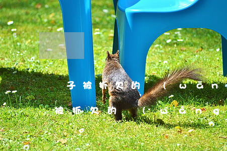 兒子被抓欠的網(wǎng)貸怎么辦(兒子被抓欠的網(wǎng)貸怎么辦)