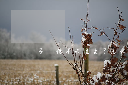 兒子辦信用卡透支了怎么辦