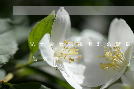 兒子透支信用卡怎么辦(信用卡不小心透支了怎么辦)