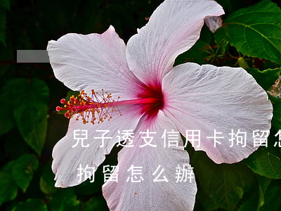 兒子透支信用卡拘留怎么辦(兒子透支信用卡拘留怎么辦)