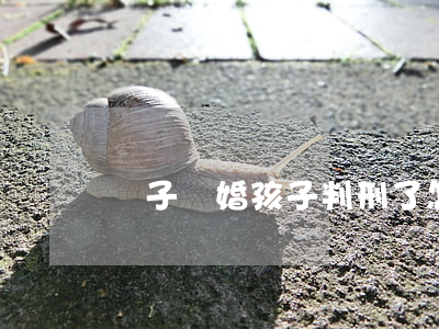 兒子離婚孩子判刑了怎么辦