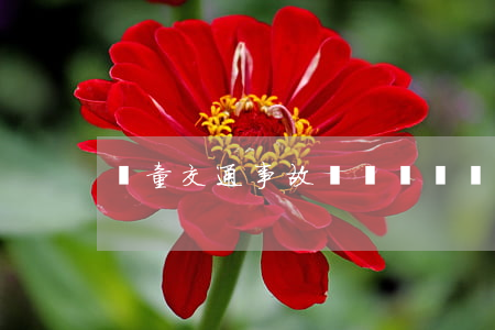 兒童交通事故輕傷賠償(兒童出車禍賠償)