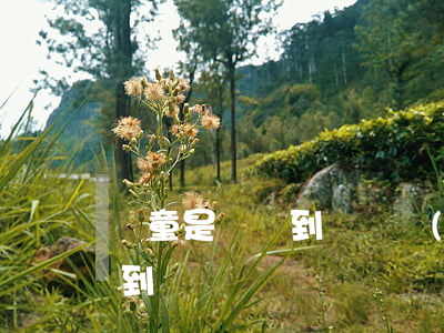 兒童是幾歲到幾歲(無(wú)陪兒童是幾歲到幾歲)
