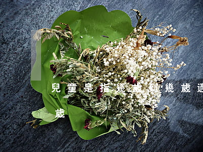 兒童是指幾歲到幾歲(適齡兒童是指幾歲到幾歲)