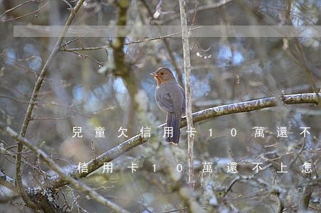 兒童欠信用卡10萬還不上怎么辦-兒童欠信用卡10萬還不上怎么辦呢