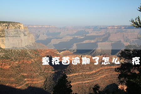 兒童疫苗逾期了怎么辦（疫苗逾期咋辦）