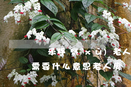 兒繼承手續(xù)老人房產(chǎn)需要什么意思(老人房產(chǎn)兒媳婦有繼承權(quán)嗎)