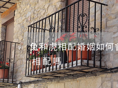兔和虎相配婚姻如何會不會離婚(婚姻虎與兔相配嗎)