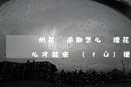 兗州花唄逾期怎么辦理(花唄逾期不能使用 怎么才能恢復(fù)使用)