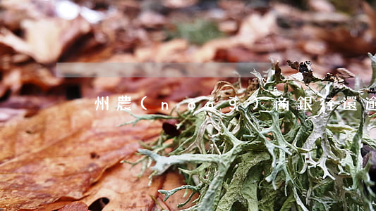 兗州農(nóng)商銀行還逾期貸款