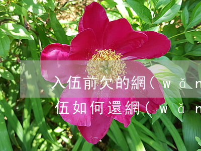 入伍前欠的網(wǎng)貸怎么辦(新兵入伍如何還網(wǎng)貸)