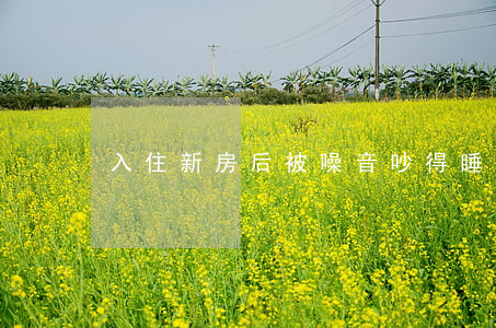 入住新房后被噪音吵得睡不著，要精神賠償?
