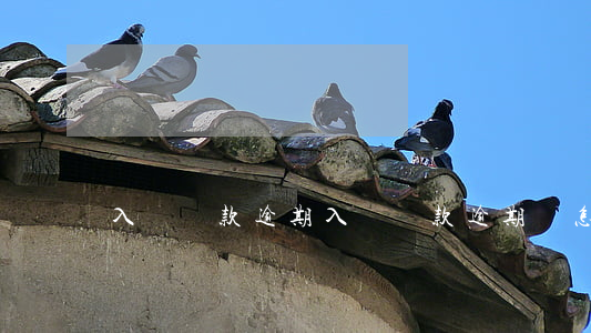 入學貸款逾期(入學貸款逾期會怎么樣)