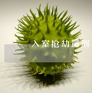 入室抢劫量刑