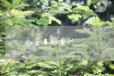入室搶劫量刑