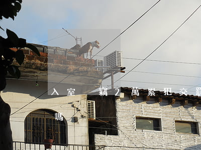 入室盜竊2萬累犯交罰金會(huì)減刑嗎
