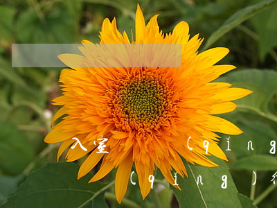 入室盜竊請(qǐng)律師有用嗎(入室盜竊請(qǐng)律師有用嗎)