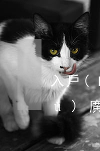 入戶(hù)廣州信用卡逾期了-入戶(hù)廣州信用卡逾期了有影響嗎