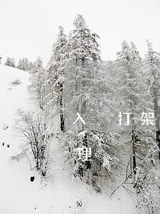 入戶打架法律怎么處理(入戶打架法律怎么處理)