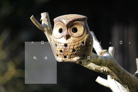 入戶盜竊轉(zhuǎn)化為入戶搶劫的既遂與未遂認定