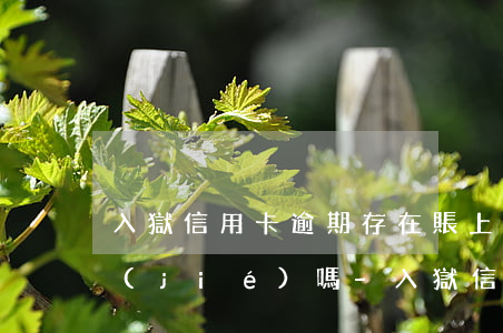 入獄信用卡逾期存在賬上會(huì)凍結(jié)嗎-入獄信用卡逾期存在賬上會(huì)凍結(jié)嗎安全嗎