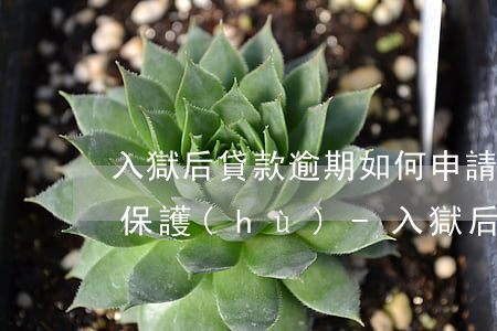 入獄后貸款逾期如何申請(qǐng)征信保護(hù)-入獄后貸款逾期如何申請(qǐng)征信保護(hù)呢
