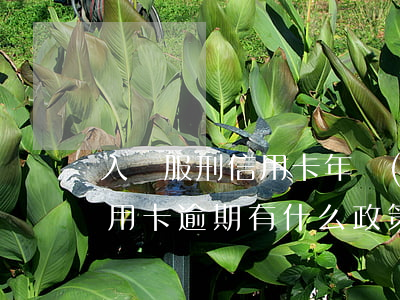 入獄服刑信用卡年費(fèi)逾期(服刑信用卡逾期有什么政策)