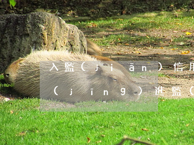入監(jiān)信用卡不還的后果(人已經(jīng)進監(jiān)獄了 信用卡不還會怎么樣)