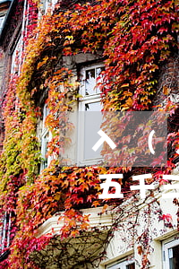 入監(jiān)獄花唄逾期怎么辦(欠花唄五千三個(gè)多月會(huì)被告上法庭坐監(jiān)獄嗎?)