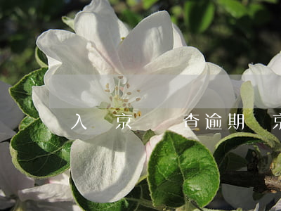 入職京東會查逾期嗎(京東入職查得到案底嗎?)