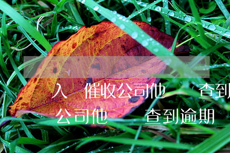 入職催收公司他們會查到逾期嗎-入職催收公司他們會查到逾期嗎怎么辦