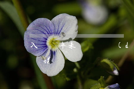 入職兩年未簽訂勞動(dòng)合同怎么處理
