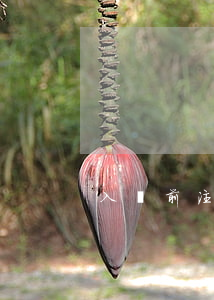 入職前注意事項有哪些