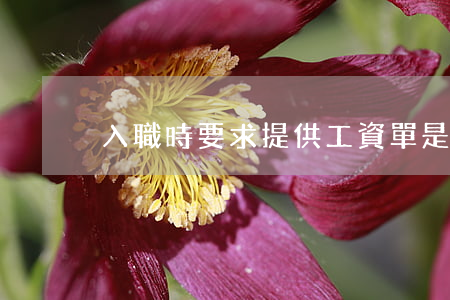 入職時要求提供工資單是否合法